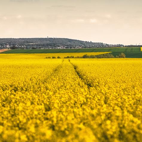 Outil d'aide à la décision