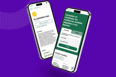 Outil d'aide à la décision